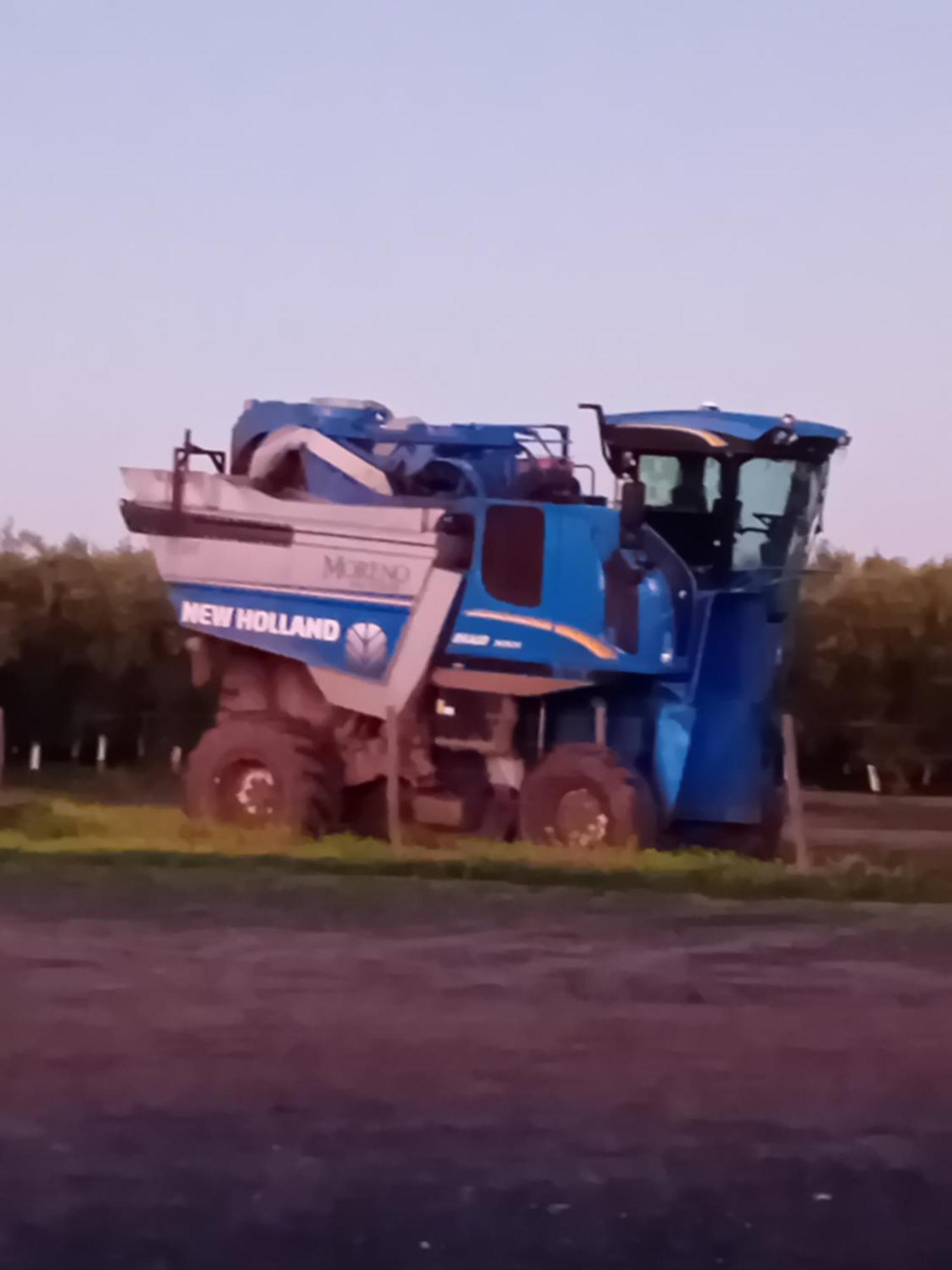 Quinta Da Chamine Ξενοδοχείο Ferreira Do Alentejo Εξωτερικό φωτογραφία