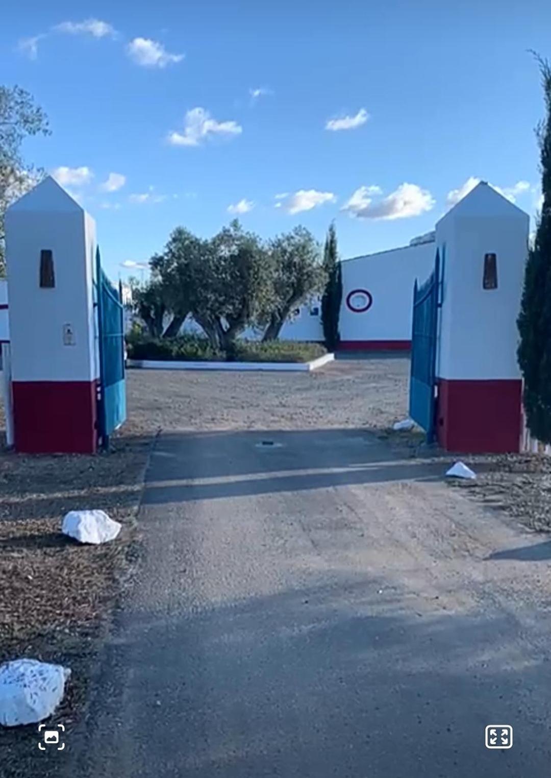 Quinta Da Chamine Ξενοδοχείο Ferreira Do Alentejo Δωμάτιο φωτογραφία