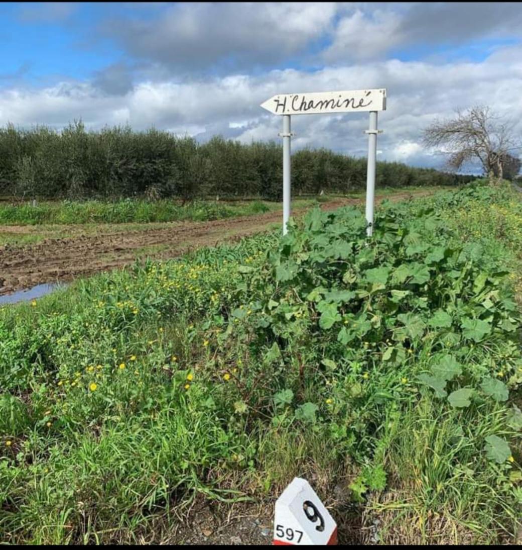 Quinta Da Chamine Ξενοδοχείο Ferreira Do Alentejo Δωμάτιο φωτογραφία