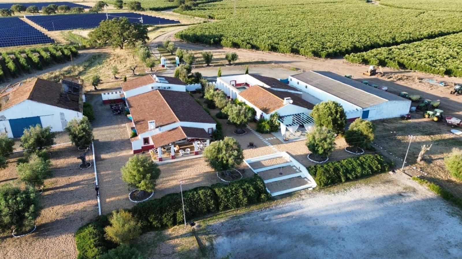 Quinta Da Chamine Ξενοδοχείο Ferreira Do Alentejo Εξωτερικό φωτογραφία