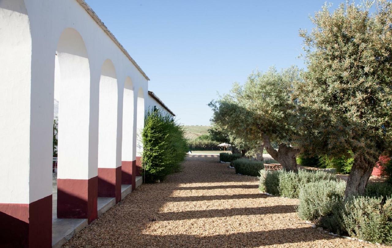 Quinta Da Chamine Ξενοδοχείο Ferreira Do Alentejo Εξωτερικό φωτογραφία